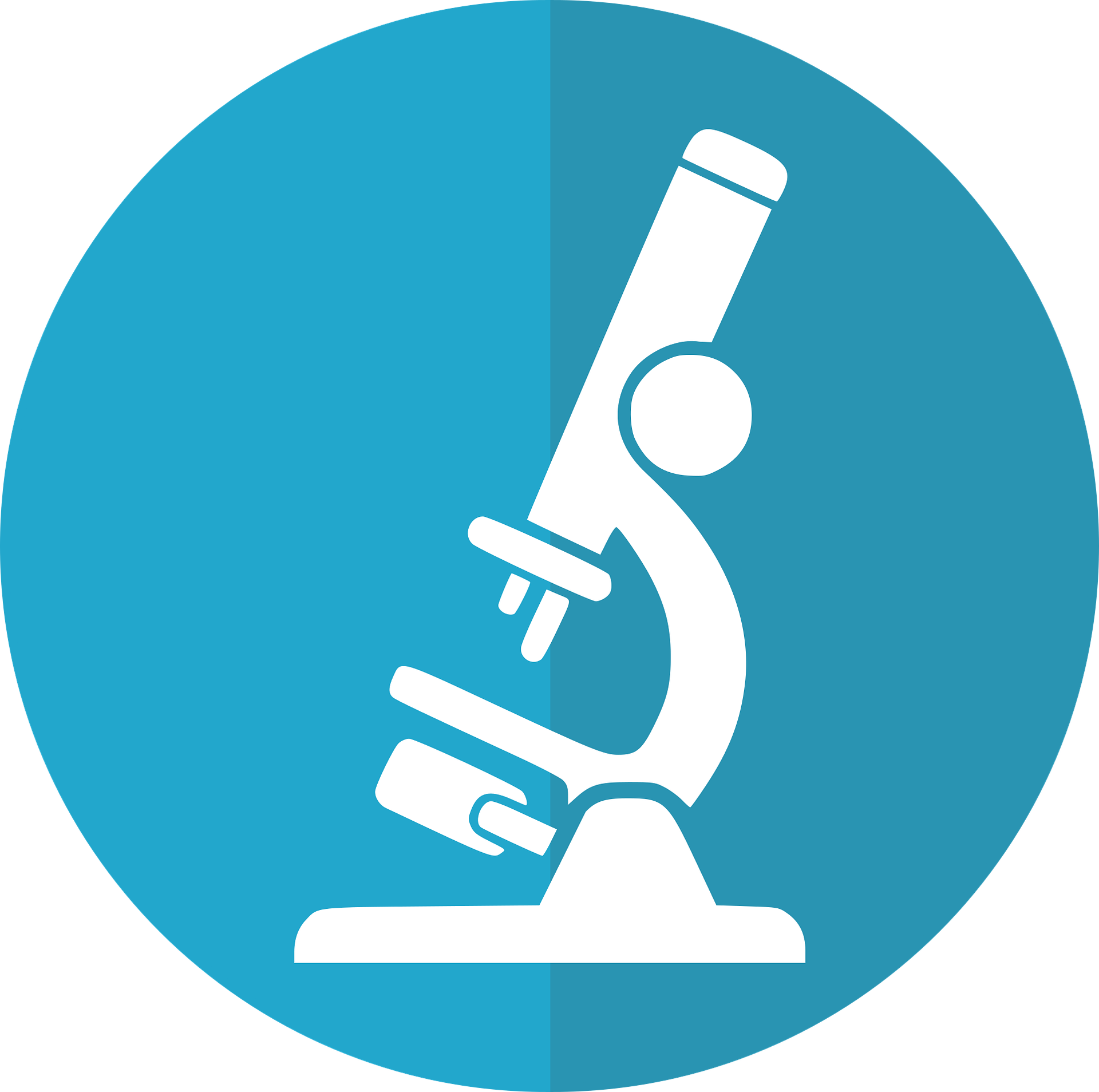 microscope-3101403_1920