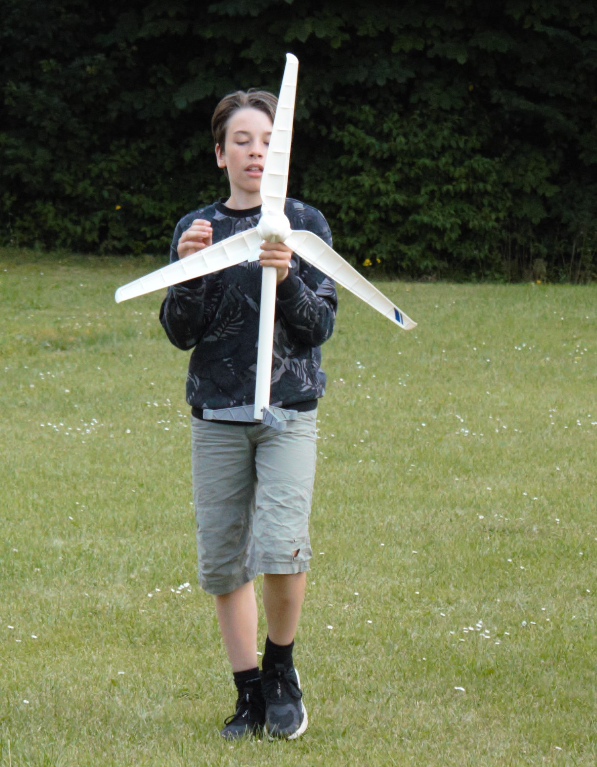 Windrad2